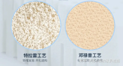 乳胶床垫选那个品牌更好？乳胶床垫适合哪些人？ 2025年 乳胶床垫购买指南：邓禄普、美国Sumalian床垫、睡眠博士等